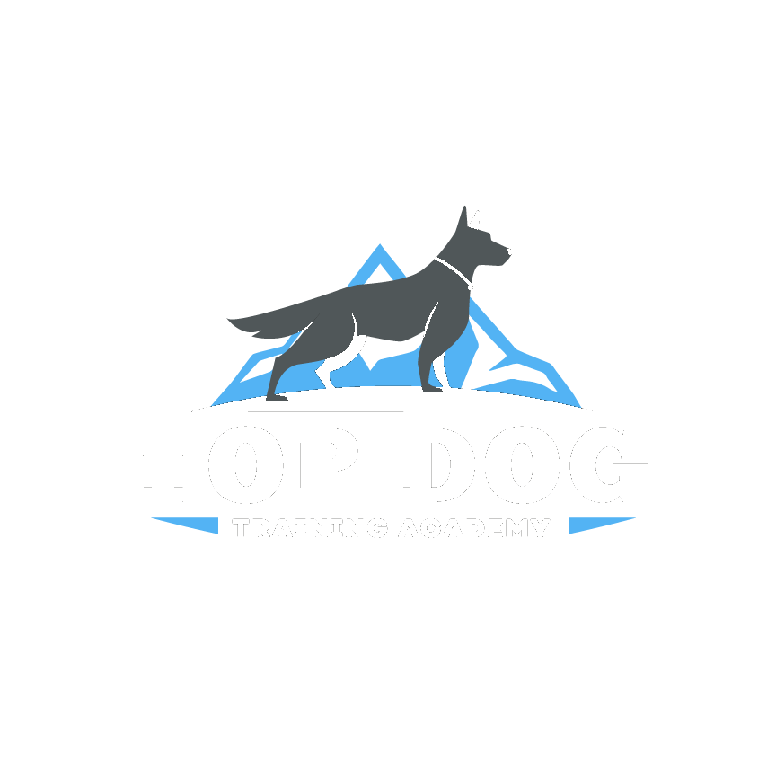 Topdog Training Academy